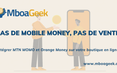 Intégrer MTN Mobile Money et Orange Money sur votre site e-commerce