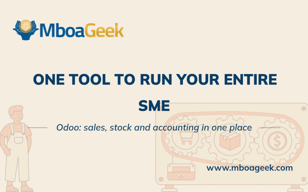 Odoo in Cameroon: An ERP to Run Your SME